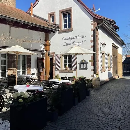 Landgasthaus Zum Engel Apartament
